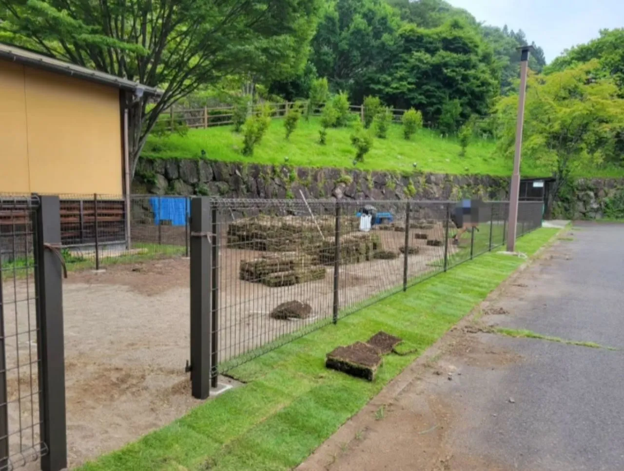 天然芝貼り作業の様子：「中之条町ドッグラン工事、天然芝を貼り込む作業の様子」①