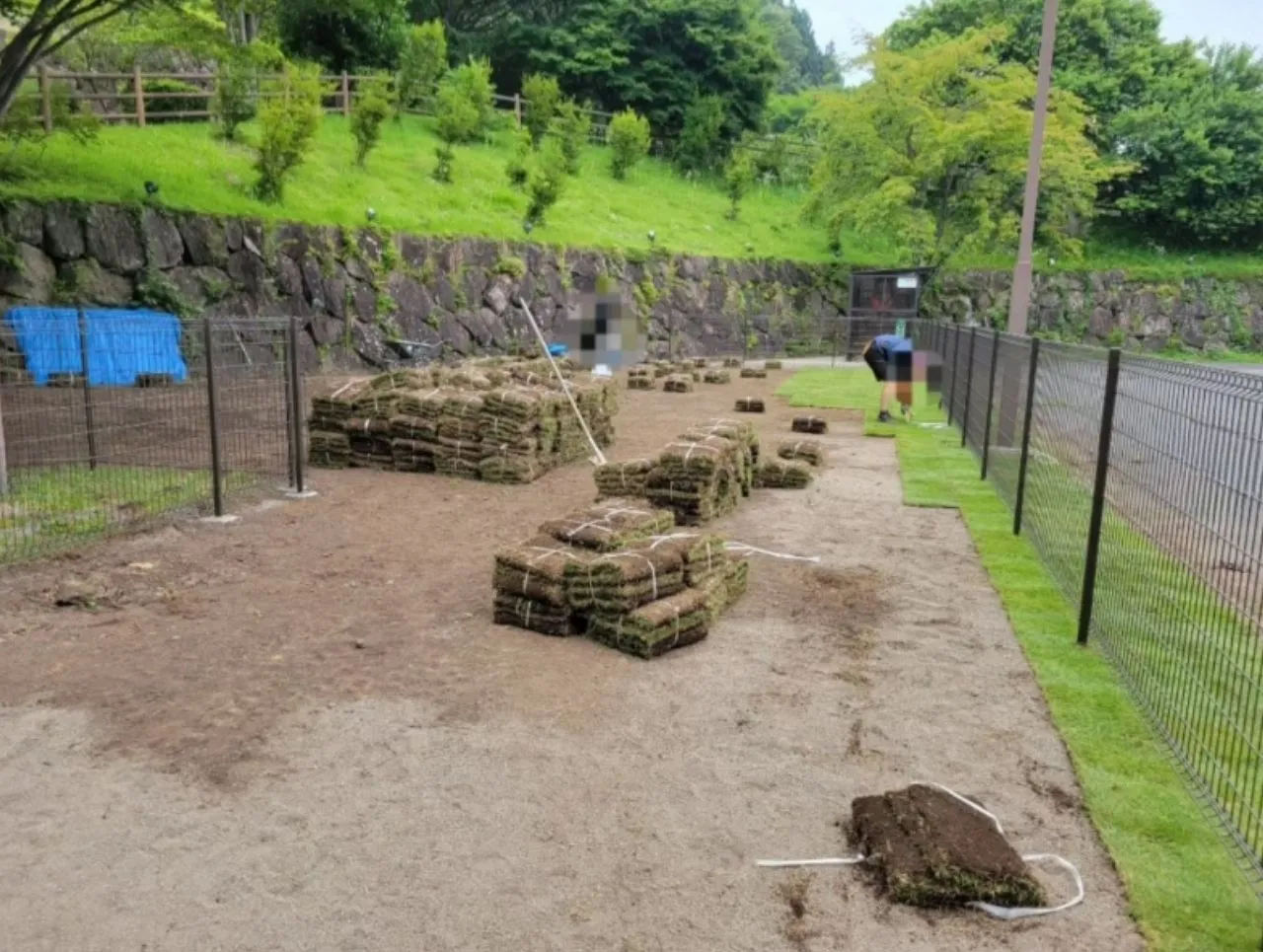 天然芝貼り作業の様子：「中之条町ドッグラン工事、天然芝を貼り込む作業の様子」②