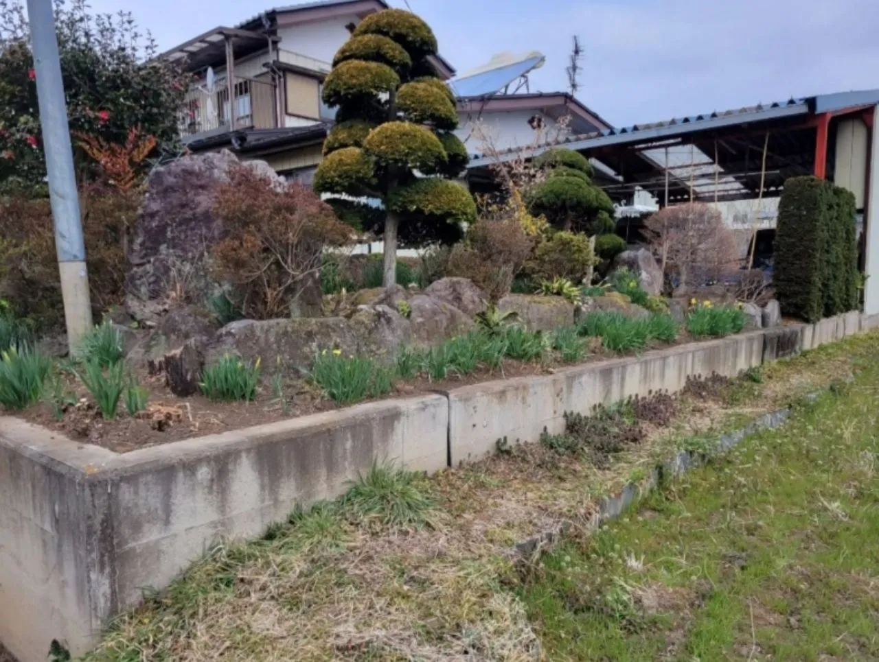 伐採・撤去が完了した境界ライン。これからフェンス柱を建てる準備が整っている状態。